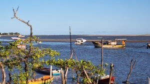 Aspecto do Rio Cricar&eacute; em Concei&ccedil;&atilde;o da Barra/PMCB
Para o governador Renato Casagrande, a obra vai al&eacute;m da pavimenta&ccedil;&atilde;o. &ldquo;Estamos construindo um caminho para o desenvolvimento do Norte do Esp&iacute;rito Sant