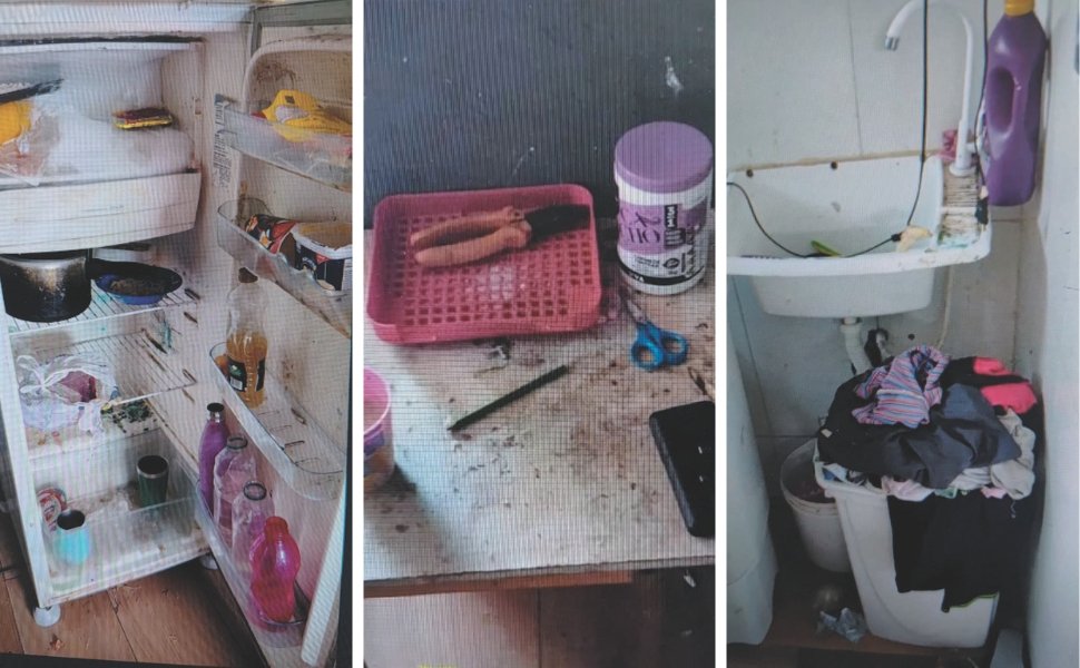 Foto:
                Reprodu&ccedil;&atilde;o TV Tribuna/Band
              
            
          
        
  

  

  


			Tr&ecirc;s crian&ccedil;as foram encontradas vivendo em situa&ccedil;&atilde;o de abandono no bairro Divino Esp&iacute;ri