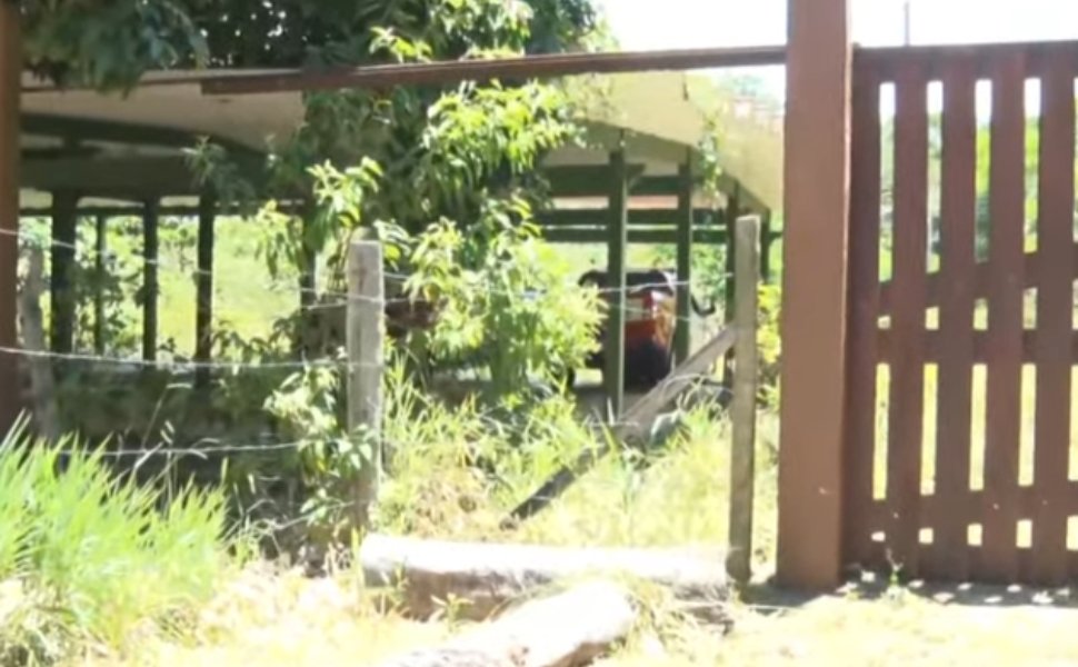 O que se sabe sobre o corpo encontrado no s&iacute;tio de envolvido no caso Araceli