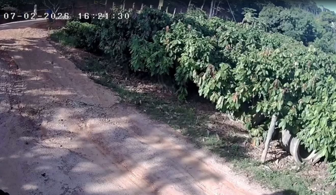 Homem &eacute; morto a tiros em planta&ccedil;&atilde;o de cacau no Noroeste do ES