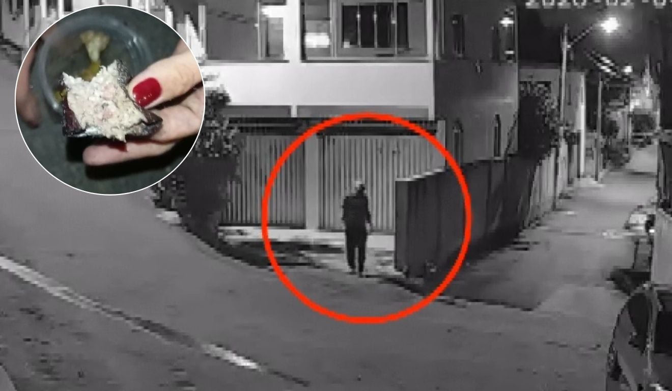 V&Iacute;DEO | Idoso &eacute; preso suspeito de envenenar e matar animais em Cariacica