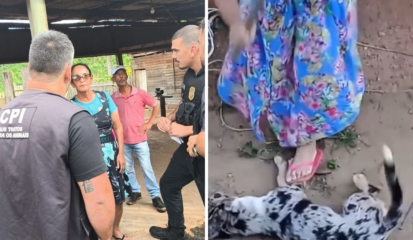 Mulher que matou cachorro a machadadas &eacute; presa e diz por que praticou o crime