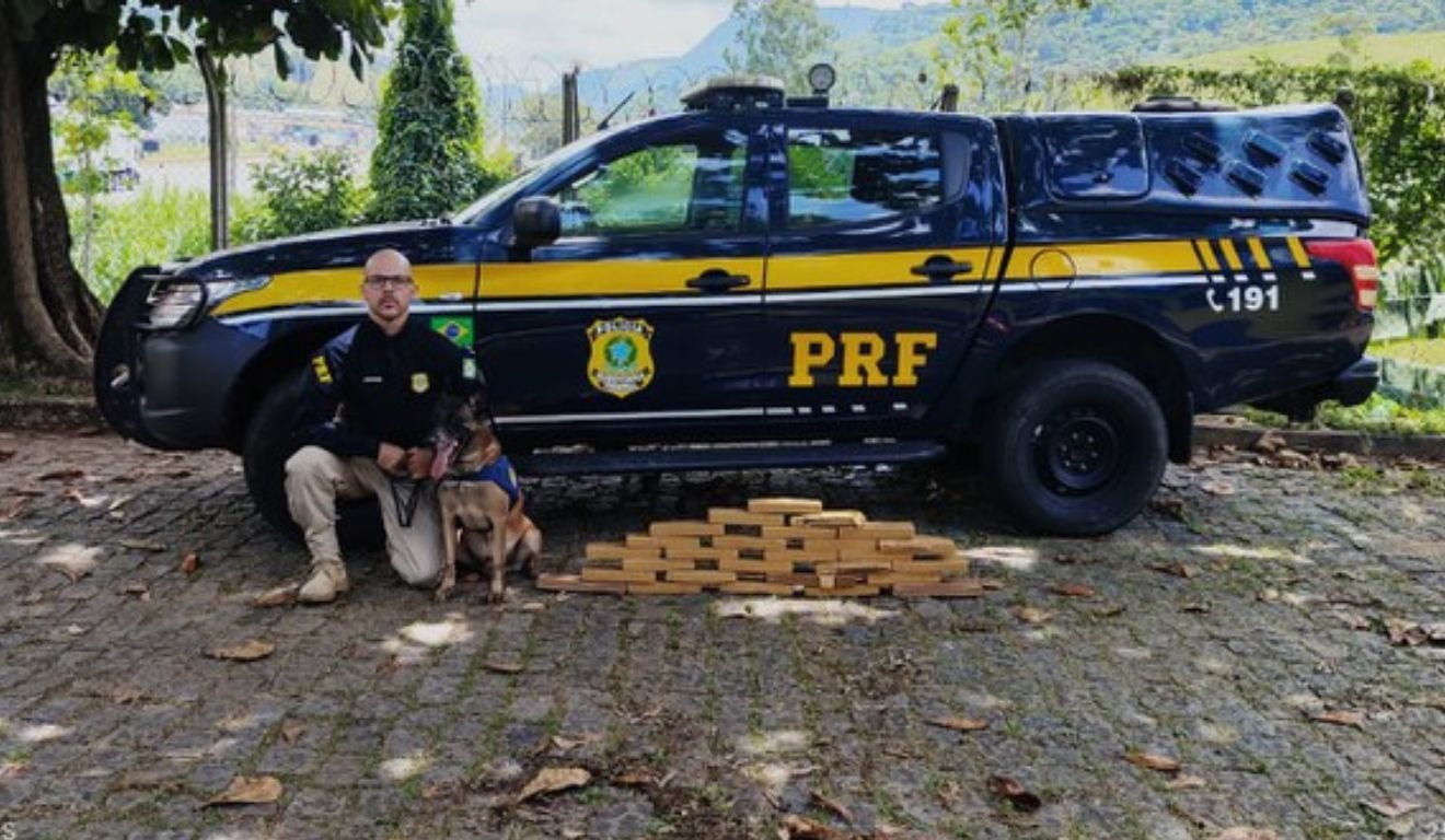 Reprodu&ccedil;&atilde;o/PRF-ES