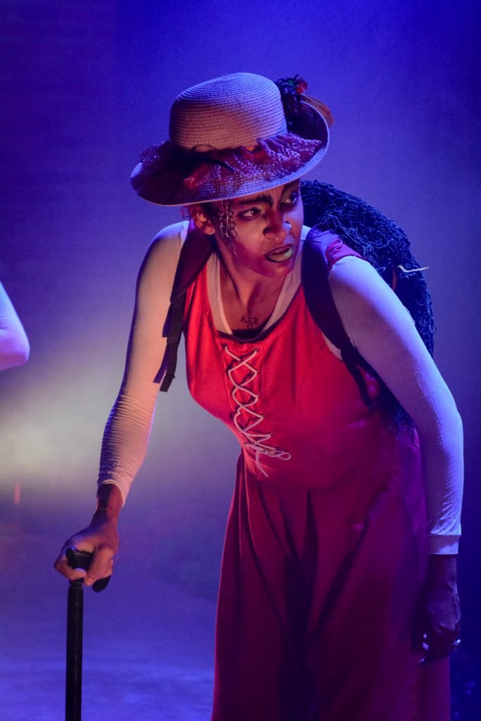 Cr&eacute;dito: Marianna Eilert
Com dramaturgia de Aline Dias e Thalia Pe&ccedil;anha, o roteiro expande o livro hom&ocirc;nimo com humor e intelig&ecirc;ncia, introduzindo um conselho de l&iacute;deres animais. Enquanto alguns busca