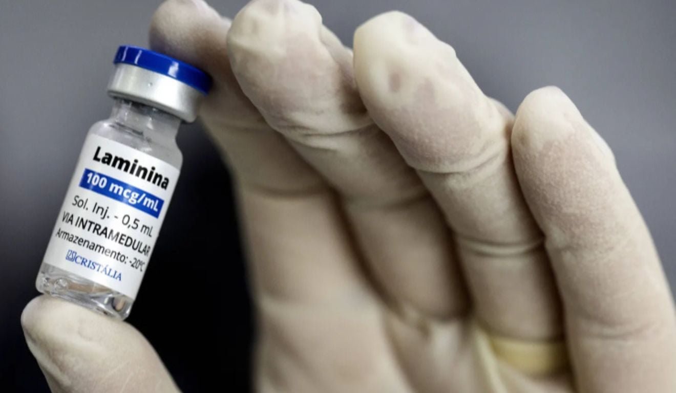 Polilaminina: entenda a pesquisa e quais testes ainda s&atilde;o necess&aacute;rios