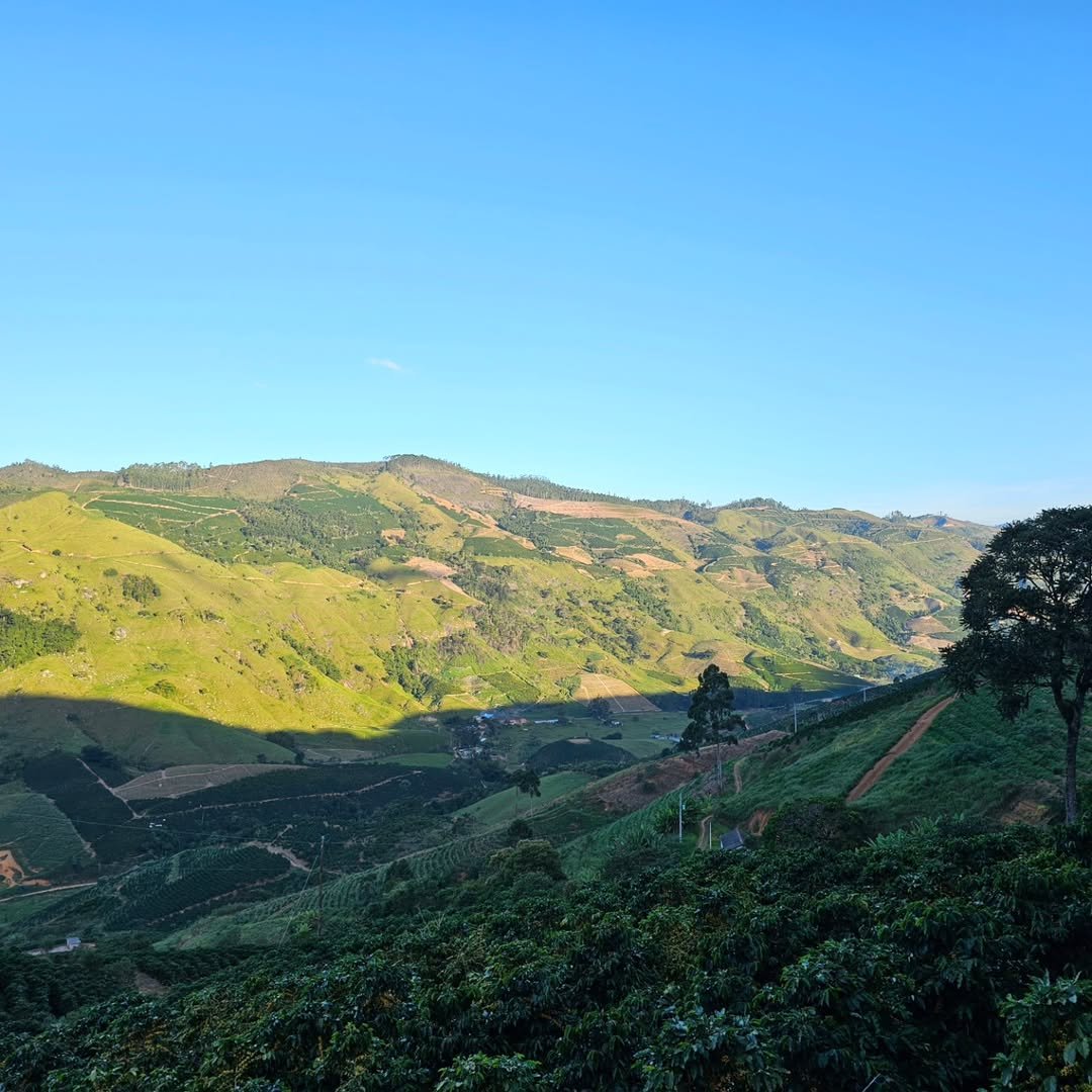 Rota de caf&eacute;s transforma propriedades rurais em experi&ecirc;ncias tur&iacute;sticas em Muniz Freire