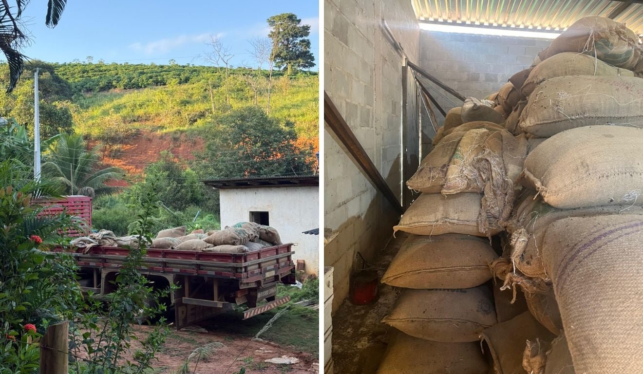 Pol&iacute;cia recupera 40 sacas de caf&eacute; conilon furtadas em fazenda de Linhares