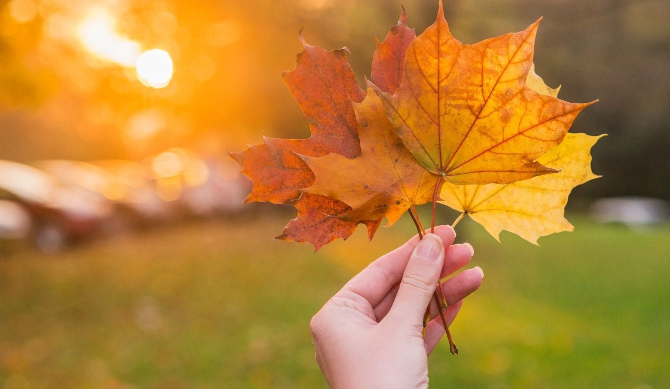 Tristeza no outono: como o clima influencia sua dor e seu humor