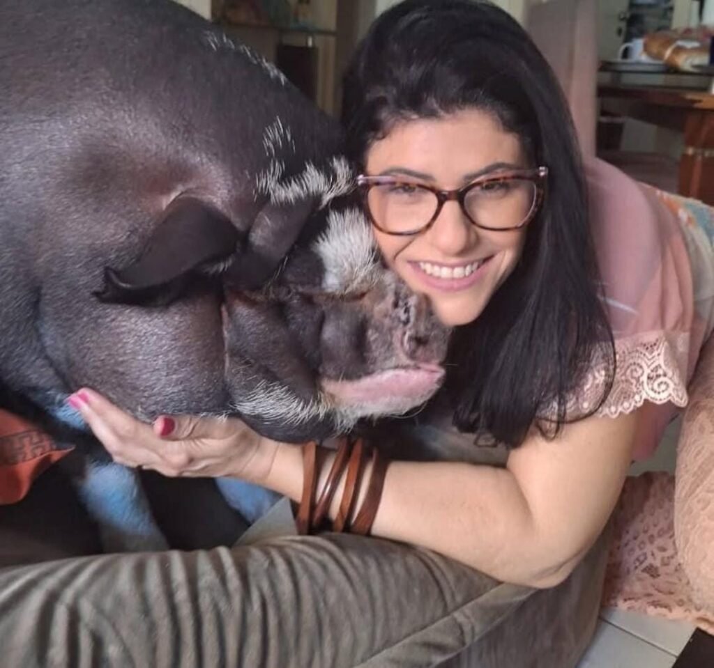 Porco de quase 100 kg volta a viralizar nas ruas de Vit&oacute;ria
