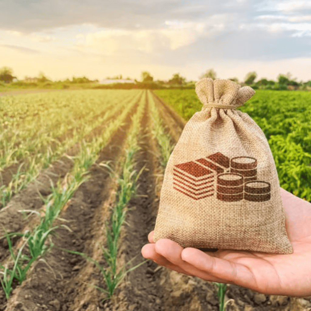 Mais de 200 agroind&uacute;strias e associa&ccedil;&otilde;es foram regularizadas no ES