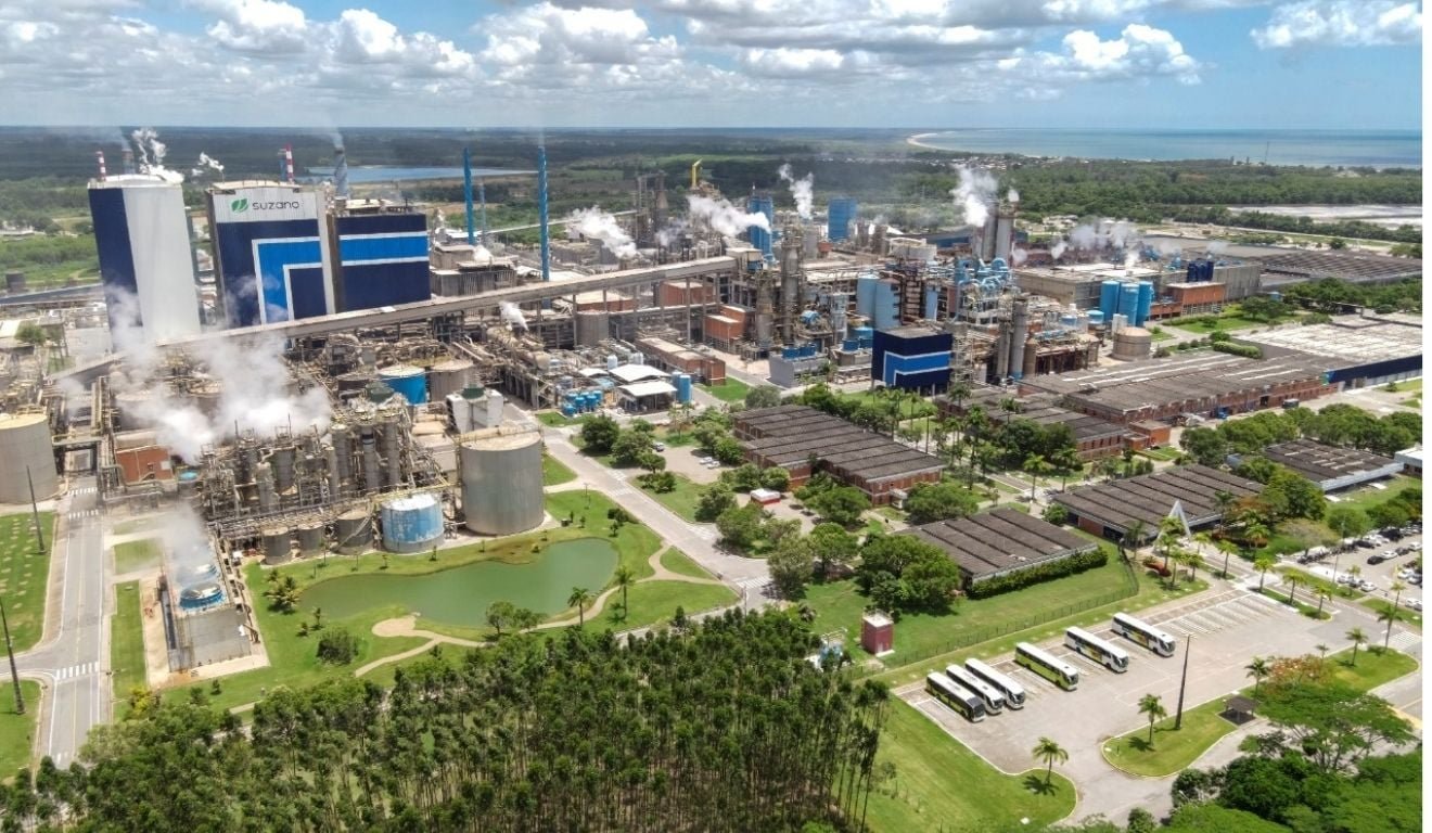 Suzano abre 170 vagas de est&aacute;gio com bolsas de at&eacute; R$ 2,8 mil; veja oportunidades