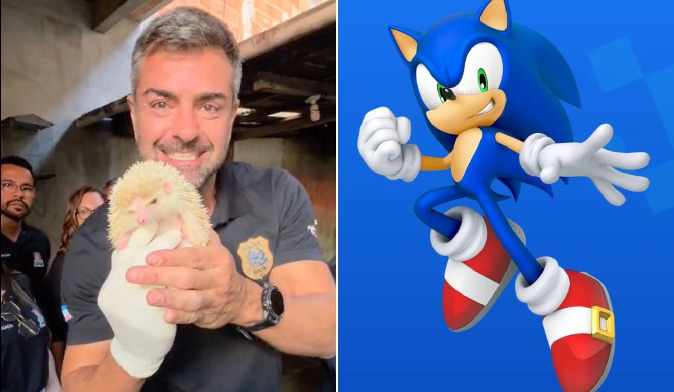 Opera&ccedil;&atilde;o liderada pelo delegado Leandro Piquet apreendeu ouri&ccedil;os de esp&eacute;cie que inspirou o personagem Sonic. Fotos: PCES/Sega