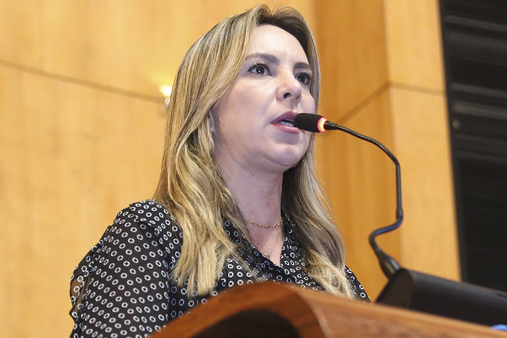 Projetos da C&acirc;mara de Vit&oacute;ria sobre distribuidoras e eventos LGBT s&atilde;o vetados