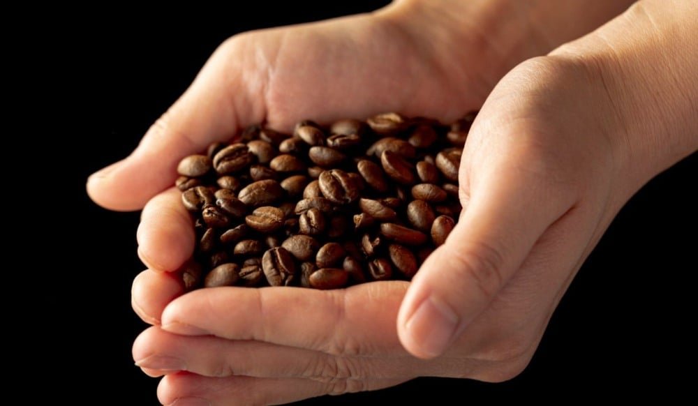 &lsquo;Caf&eacute; do Brasil &eacute; insubstitu&iacute;vel&rsquo;, diz entidade nos EUA, ao pedir isen&ccedil;&atilde;o tarif&aacute;ria para o sol&uacute;vel