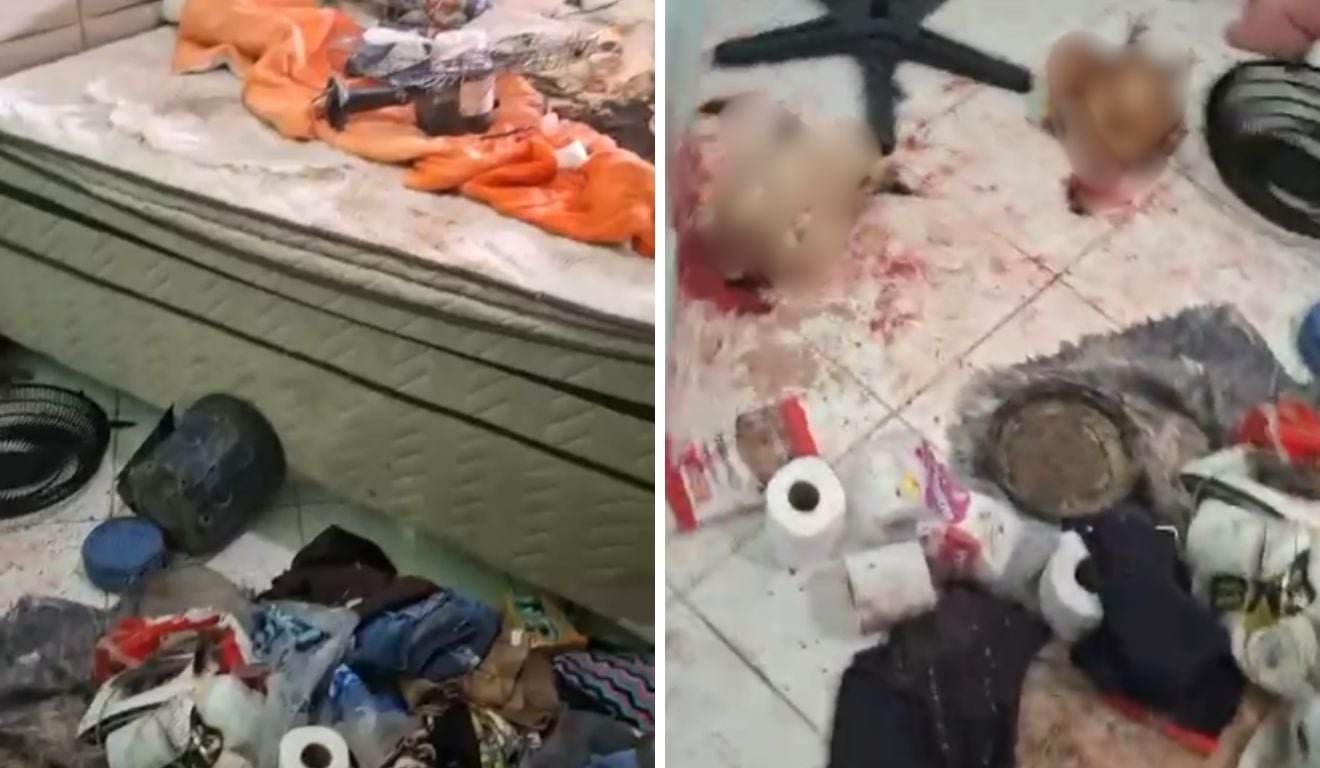 Homem invade casa da ex, deixa animais mortos pelo local e &eacute; preso