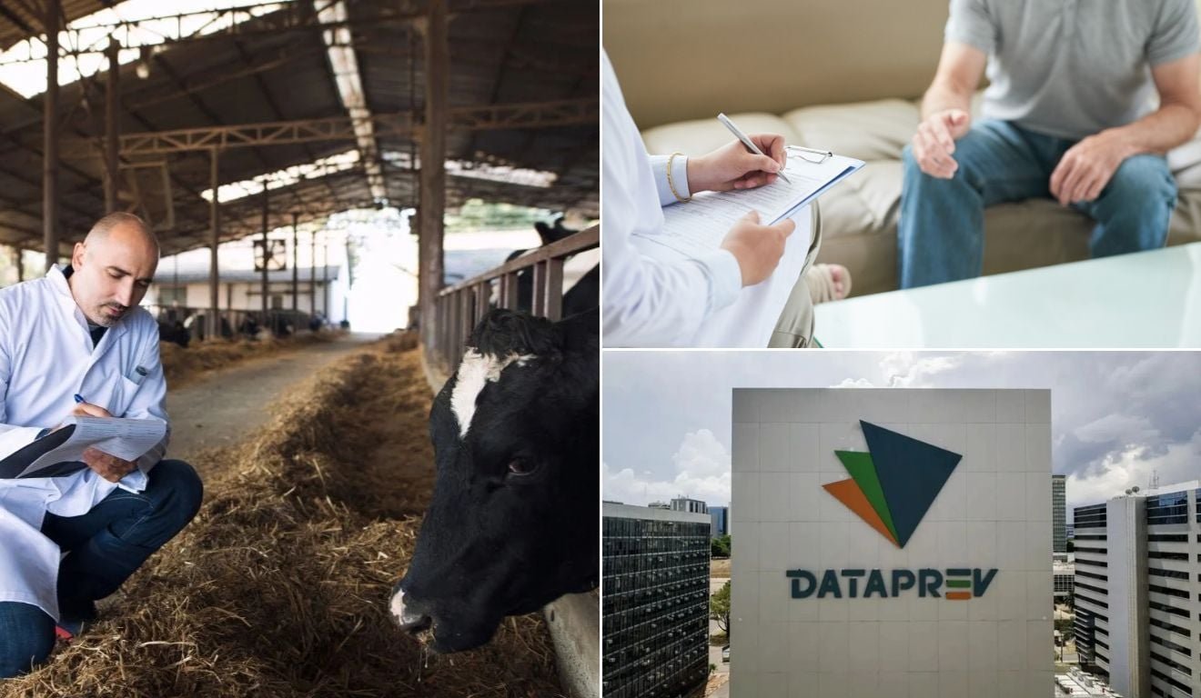 M&eacute;dico, veterin&aacute;rio e Dataprev: veja concursos no ES com sal&aacute;rios que passam de R$ 10,6 mil