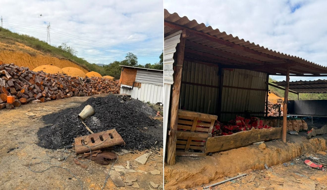 Carvoaria clandestina &eacute; fechada em Cariacica ap&oacute;s den&uacute;ncias de fuma&ccedil;a