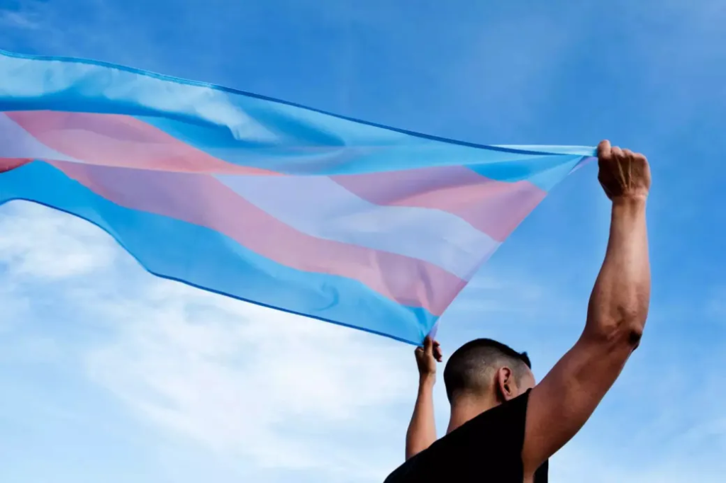 Ufes aprova cotas para pessoas trans em todos os cursos de gradua&ccedil;&atilde;o