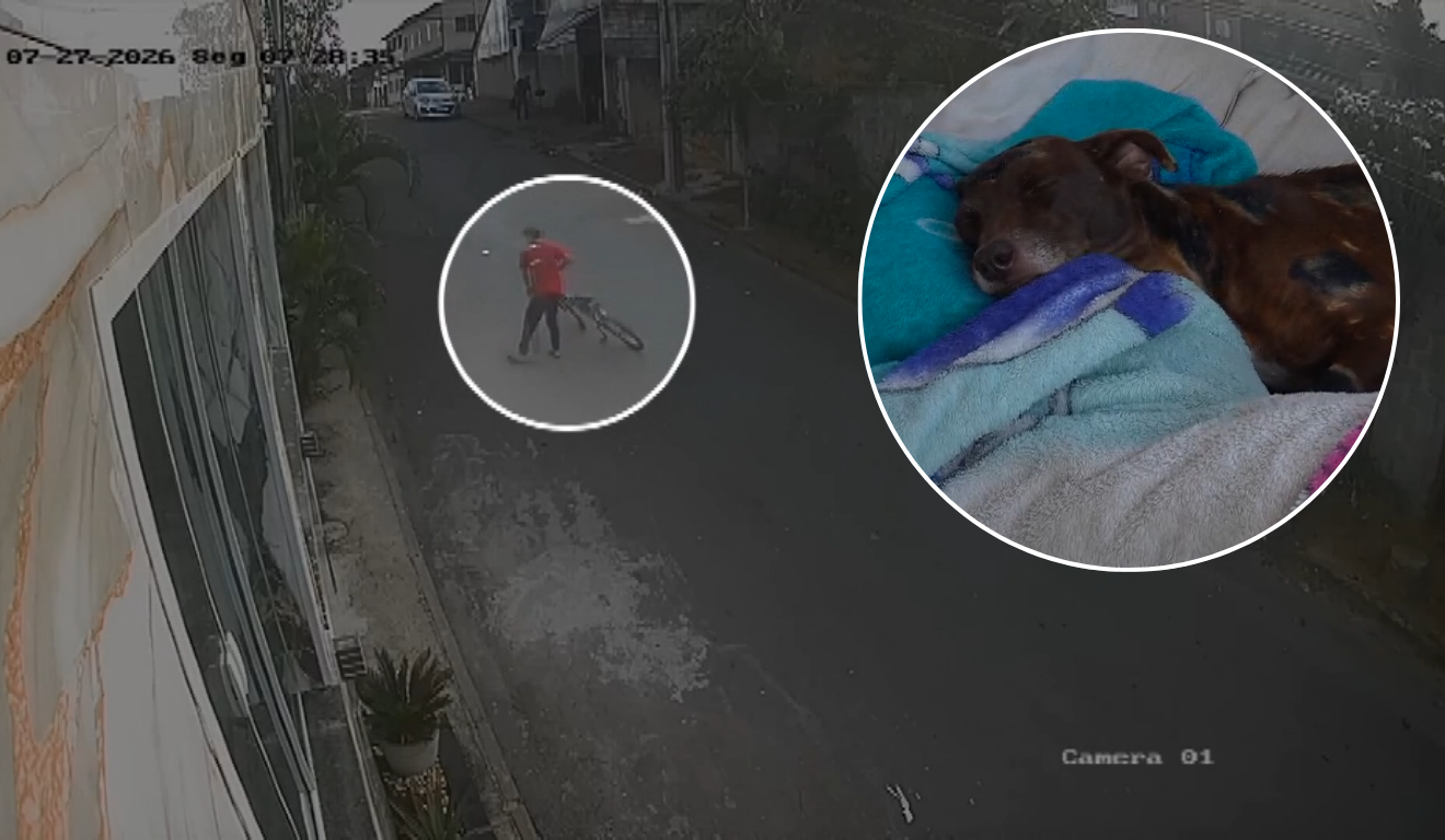 V&Iacute;DEO | Cadela &eacute; atacada a pedradas na porta de casa em Cariacica