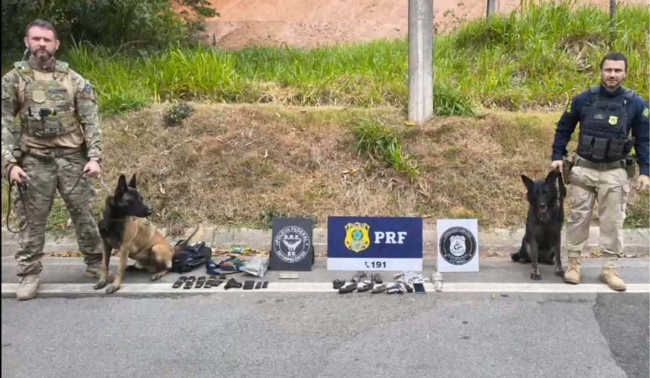 Gr&aacute;vida &eacute; presa e adolescente apreendido com drogas e armas na BR-101