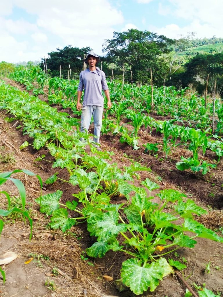 Heran&ccedil;a Verde: novas gera&ccedil;&otilde;es e os caminhos da sustentabilidade na cafeicultura