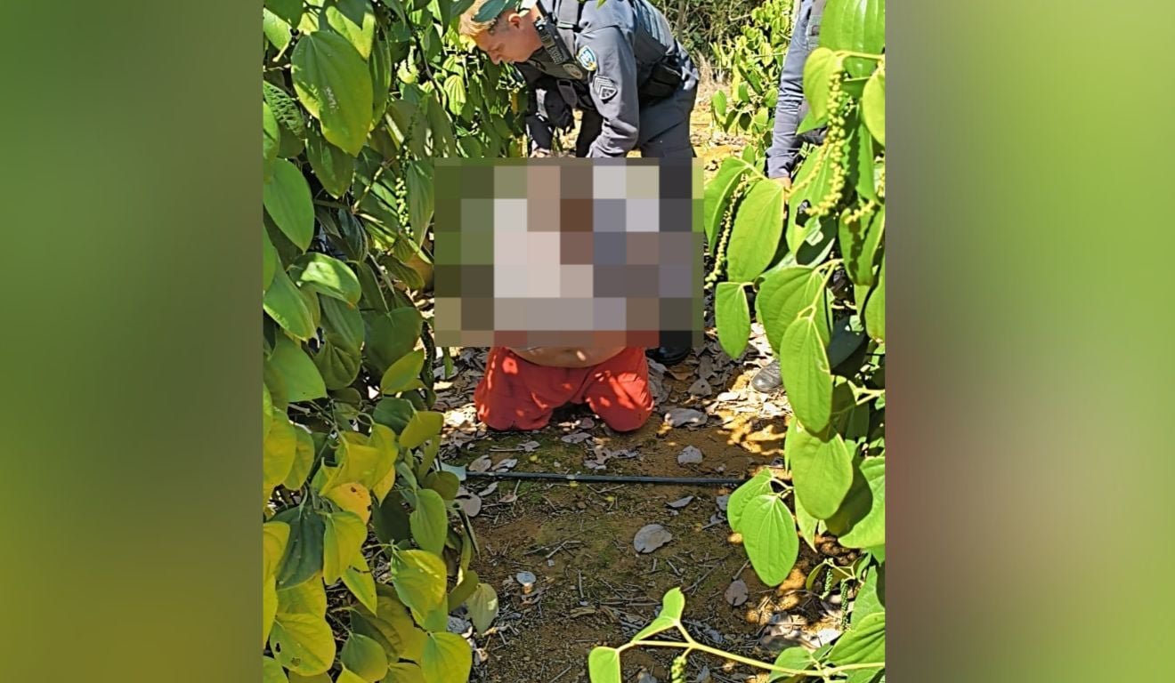 Suspeito de feminic&iacute;dio em Linhares tenta fugir por planta&ccedil;&atilde;o e &eacute; preso