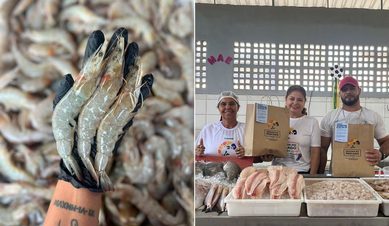 Quer comprar peixe e frutos do mar? Veja locais no ES com descontos de at&eacute; 30%