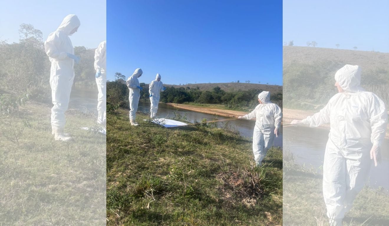 Febre maculosa: Boa Esperan&ccedil;a confirma 3&ordm; caso e investiga &aacute;reas com carrapatos