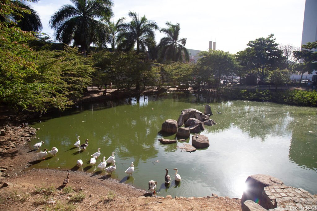 Protetores convocam ato na Pedra da Cebola contra proibi&ccedil;&atilde;o da PMV que deixou animais sem &aacute;gua