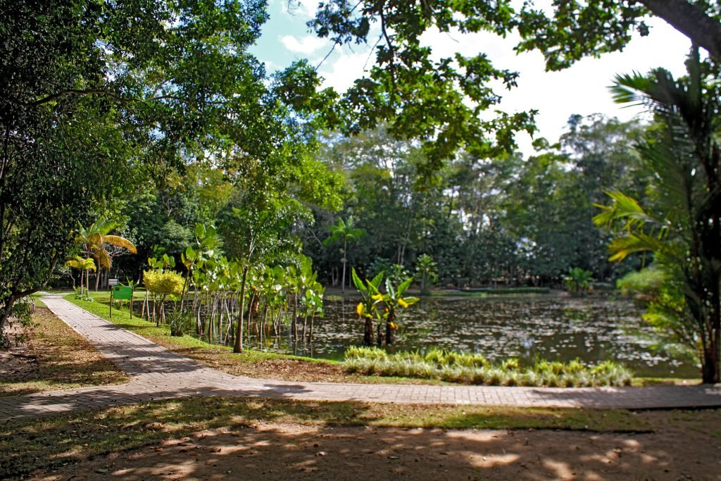 Expedi&ccedil;&atilde;o na Mata Atl&acirc;ntica em Linhares mira bact&eacute;rias para cosm&eacute;ticos e agriculturas