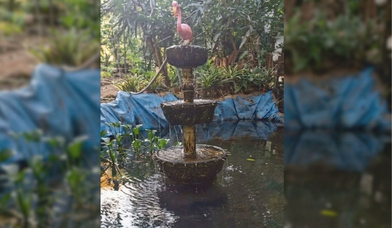 Til&aacute;pias e outros peixes s&atilde;o furtados de lago em ch&aacute;cara de Cariacica