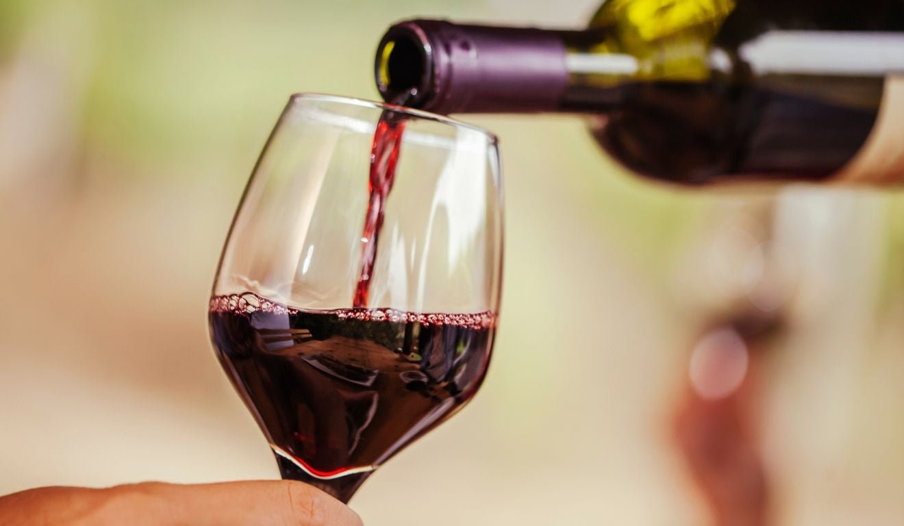 Um bom ano: importadores do ES aumentam volume de compra de vinho de olho na Black Friday