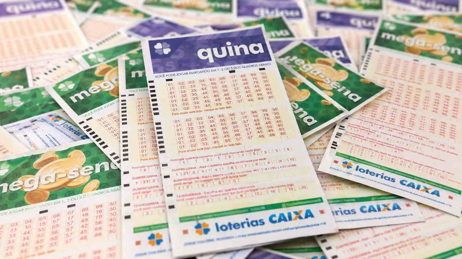 Confira os resultados das loterias deste domingo (20): Mega-Sena, Lotof&aacute;cil, Quina e mais