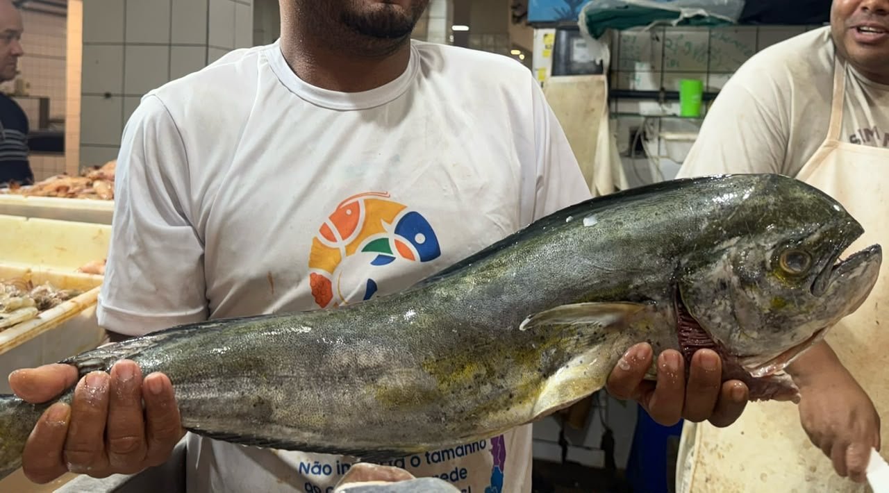 O dourado &eacute; um dos peixes que pode cair de pre&ccedil;o nas peixarias. Foto: Thiago Soares/Folha Vt&oacute;ria