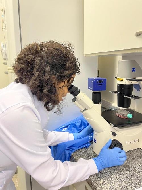 Pesquisa da Ufes revela como micropl&aacute;sticos afetam c&eacute;lulas mam&aacute;rias
