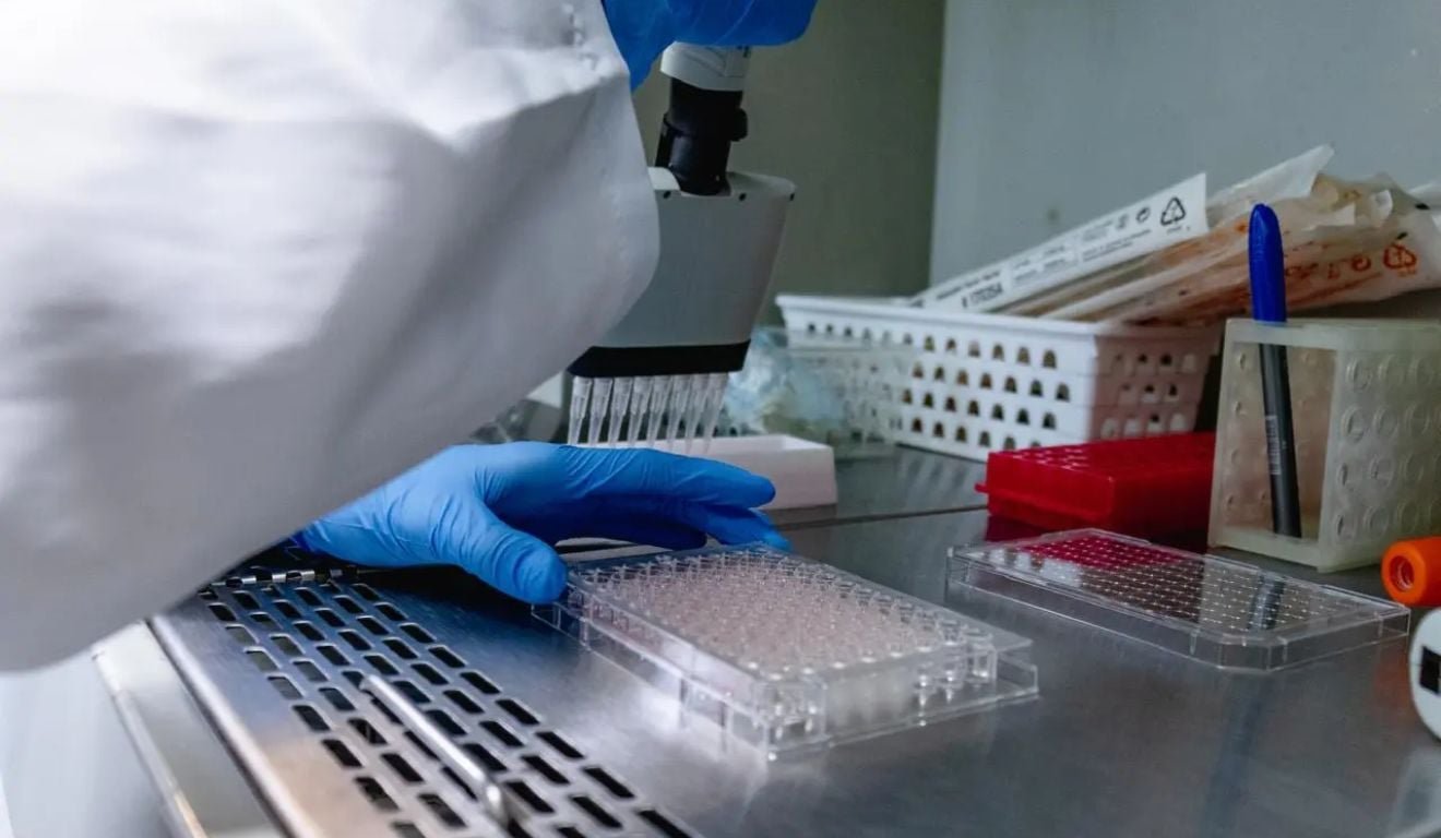 Micropl&aacute;sticos podem afetar c&eacute;lulas mam&aacute;rias? Pesquisa da Ufes investiga altera&ccedil;&otilde;es
