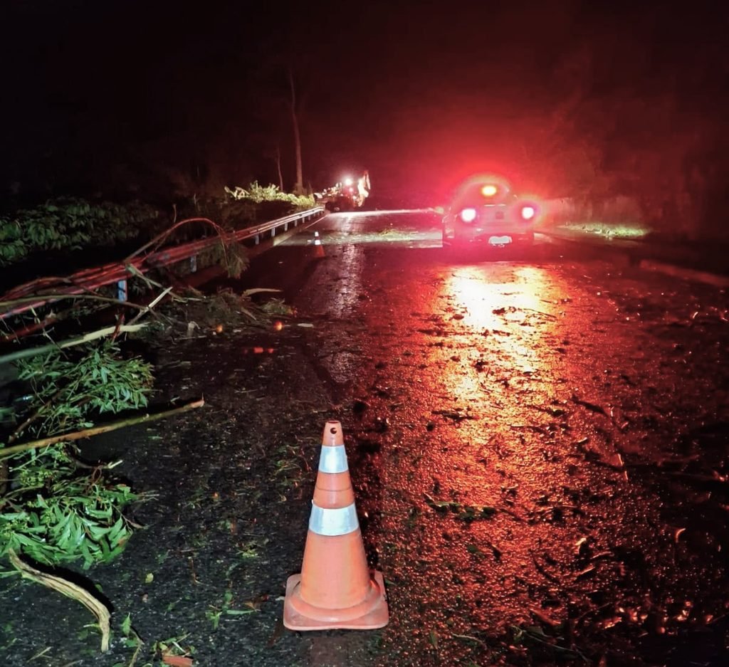Queda de &aacute;rvores deixa tr&acirc;nsito em meia pista na ES-379 em Muniz Freire