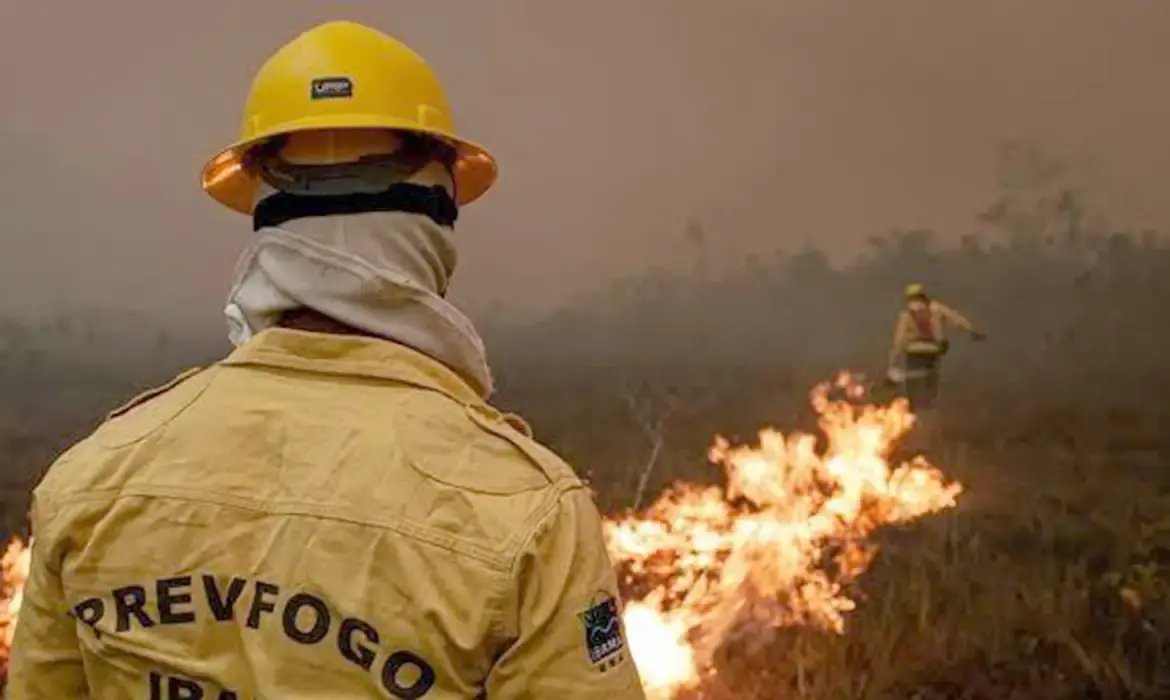 For&ccedil;a-tarefa apaga mais de 300 focos de inc&ecirc;ndio no AM