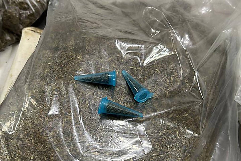 Fentanil &lsquo;Invis&iacute;vel&rsquo;: avan&ccedil;o no ES alerta autoridades