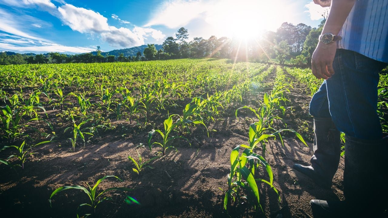 Agro capixaba quer juros menores, novos mercados e isen&ccedil;&atilde;o pela &aacute;gua