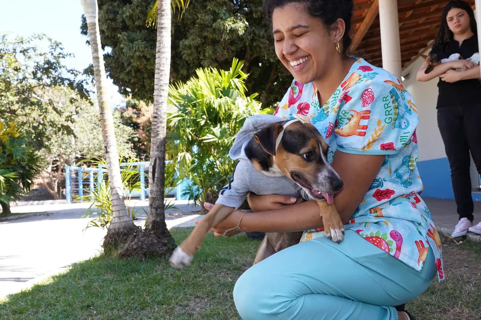 Novembro Azul Pet: sinais de alerta na pr&oacute;stata dos c&atilde;es