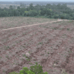 GWM prev&ecirc; licen&ccedil;a ambiental para f&aacute;brica de Aracruz at&eacute; mar&ccedil;o de 2027