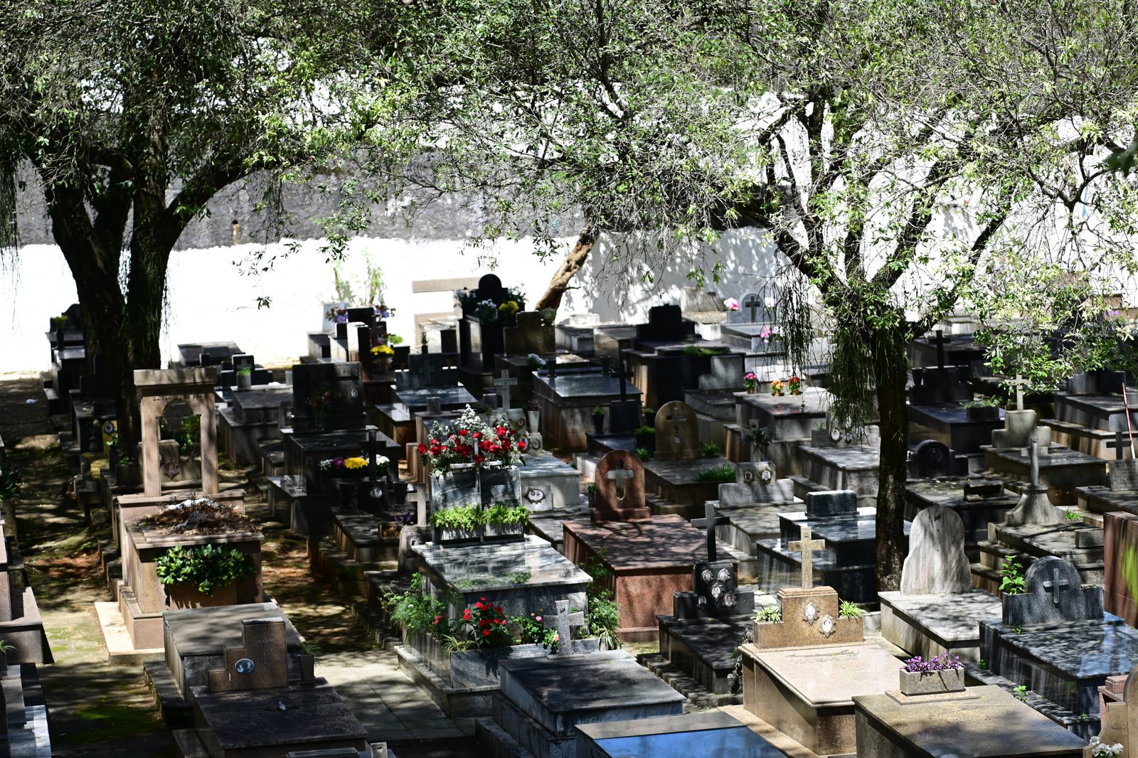 Dia de Finados: veja o hor&aacute;rio de funcionamento dos cemit&eacute;rios