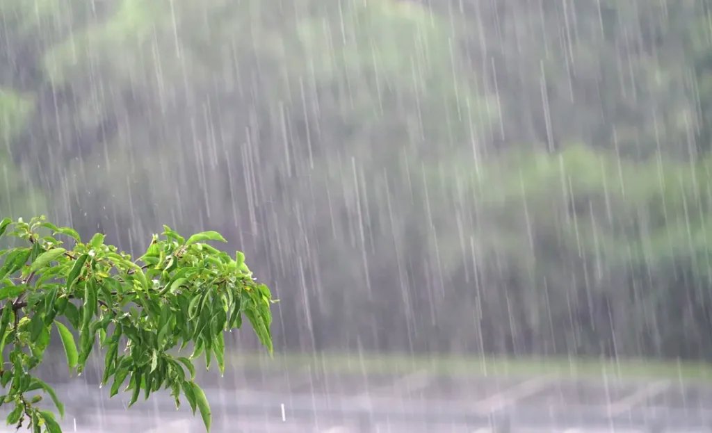 ES tem alerta de chuva e ventos de at&eacute; 60 km/h antes de Finados