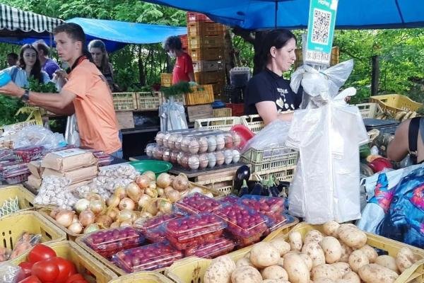 Consumidor pode levar agrotóxicos sem saber, alertam produtores orgânicos